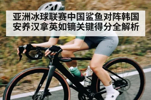 亚洲冰球联赛中国鲨鱼对阵韩国安养汉拿英如镝关键得分全解析